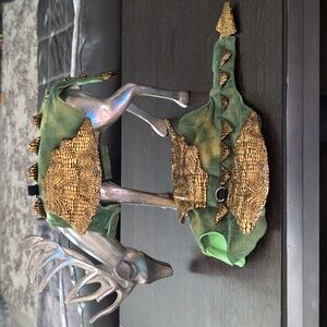 Small Pet Dragon outfit